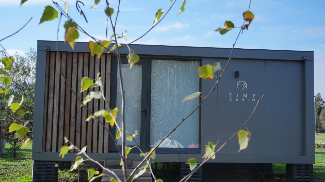 Tiny Colchagua Cabanas Y Padel Apartment Санта Крус Екстериор снимка
